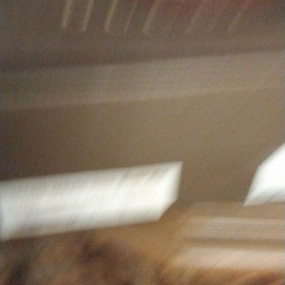 Gucci - Picture 11 of 11